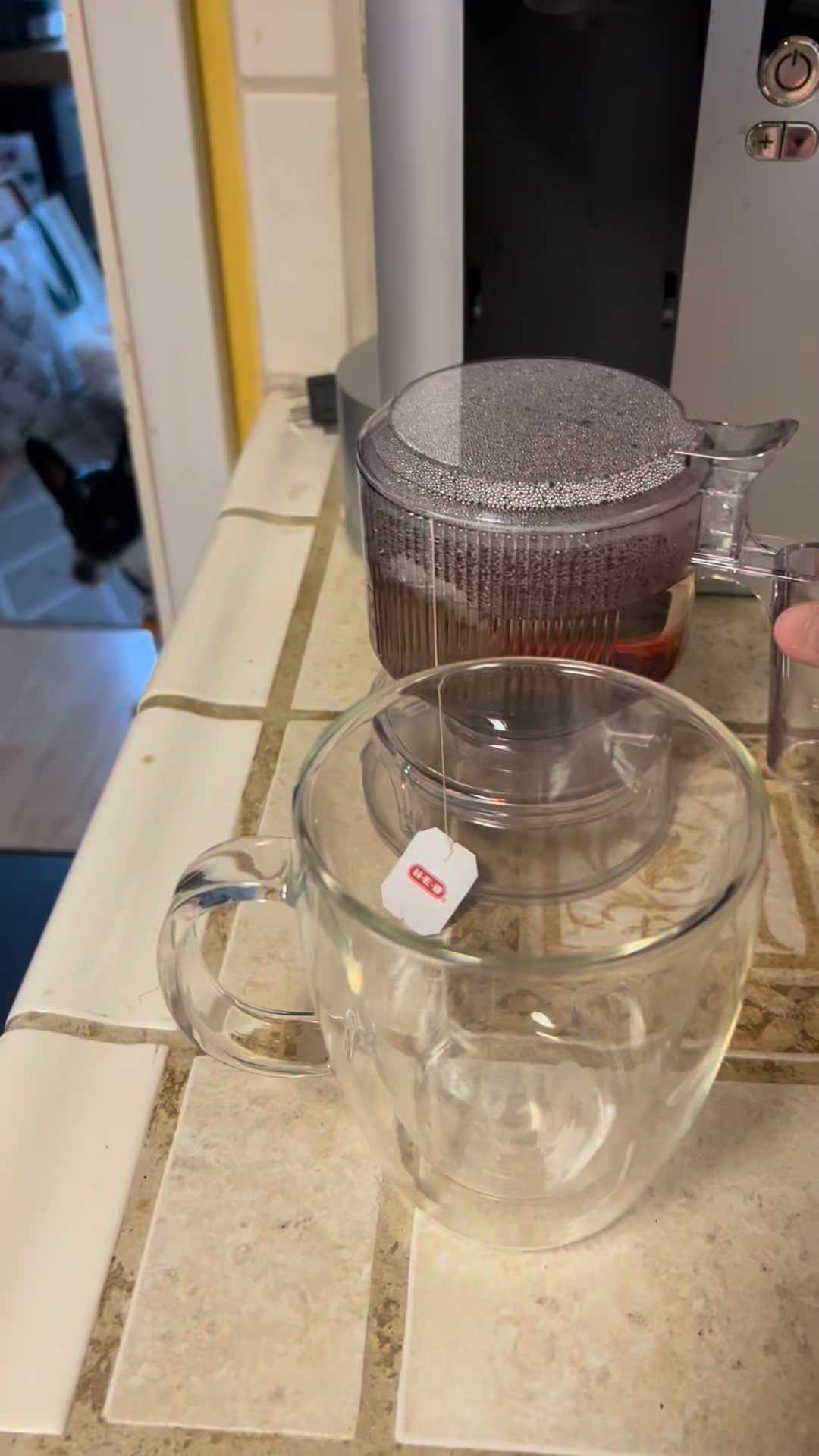 🎉☕ Meet my little kitchen sidekick... the Tea Steeper & Dispenser! ☕🎉

If you're a tea lover, this gadget is about to make your life so much easier. 🍵

✨ Steep your favorite loose-leaf tea
✨ Dispense directly into your mug
✨ No messy tea leaves floating around
✨ Great for hot tea, iced tea, and even infused water

I love tools that make everyday things feel a little more special, and this one definitely delivers. 💛

Let's be honest... making tea should be relaxing, not feel like you're cleaning up after a science experiment. 😂

Who's a tea drinker? Drop your favorite tea flavor below! 👇🍋🌿🫖

#howipamperedchef #tea #tealover #easypeasy #kitchenbff #musthave
